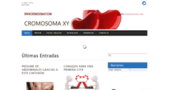 Desktop Screenshot of cromosomaxy.com